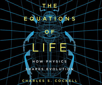 The Equations of Life: How Physics Shapes Evolution