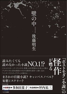 壁の中 新裝普及版