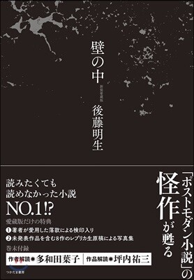 壁の中 新裝愛藏版