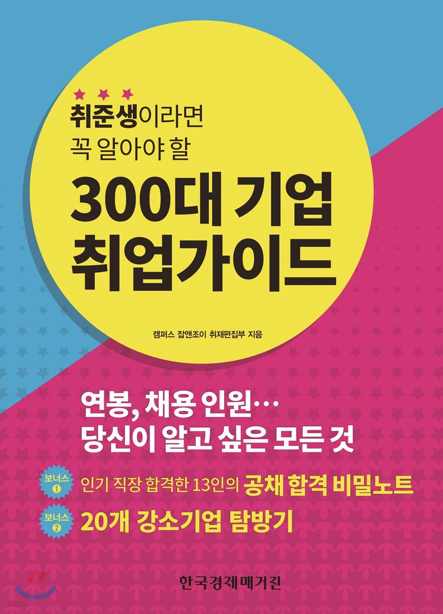 300대 기업 취업가이드