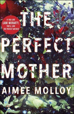 Perfect Mother