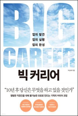 빅 커리어