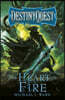 The Heart of Fire: Destinyquest Book 2
