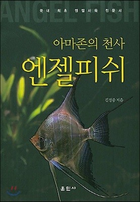 아마존의 천사 엔젤피쉬