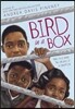 Bird in a Box