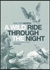 A Wild Ride Through the Night
