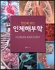 한눈에 보는 인체해부학