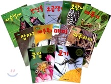 호기심 가득 벌레들의 한살이 11권 세트