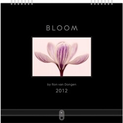 2012 벽걸이캘린더 Bloom