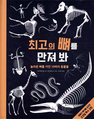 최고의 뼈를 만져 봐