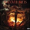 Black Veil Brides (블랙 베일 브라이즈) - Vale