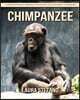 Chimpanzee: Children's Book of Amazing Photos and Fun Facts about Chimpanzee