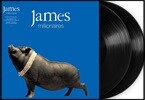 James (제임스) - Millionaires [2 LP]