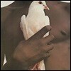 Santana (산타나) - 베스트 앨범 Greatest Hits [LP]
