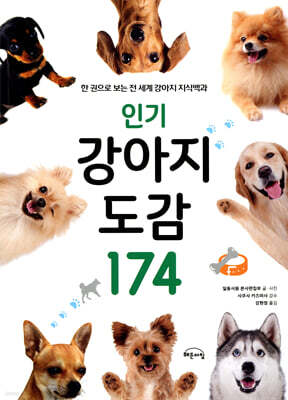 인기 강아지 도감 174
