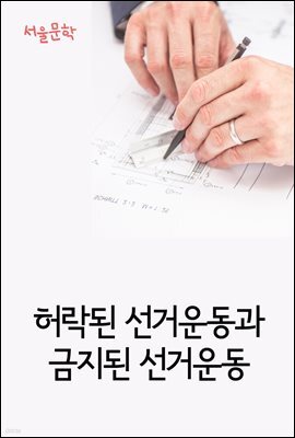 허락된 선거운동과 금지된 선거운동 : 사건과 판결문