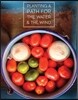 Planting a Path for The Water & The Wind: Highland Maya of Guatemala Foodways