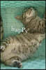 Happy² Pure Slush Vol. 15
