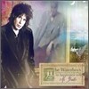 Waterboys - An Appointment With Mr. Yeats