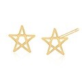[NeeGee] 14K GOLD 샤인스타귀걸이