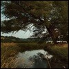 S. Carey (S. 캐리) - Hundred Acres