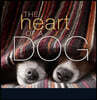 The Heart of a Dog