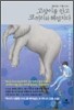 고양이를 안고 코끼리와 헤엄치다