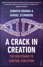 A Crack in Creation
