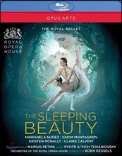 Royal Ballet 차이코프스키: 발레 '잠자는 숲속의 미녀' (Tchaikovsky: The Sleeping Beauty 2017)