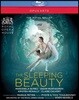 Royal Ballet 차이코프스키: 발레 '잠자는 숲속의 미녀' (Tchaikovsky: The Sleeping Beauty 2017)