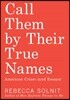 Call Them by Their True Names: American Crises (and Essays)