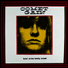 Comet Gain - Howl Of The Lonely Crowd (LP)