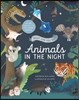 What Can You See? Animals in the Night: Use the Star Light to Find Hidden Animals!