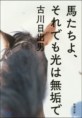 馬たちよ,それでも光は無垢で