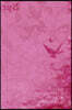 Fantasy Flights: 150 Lined Journal Pages / Notebook / Diary / Fantasy Flights