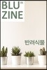 블루진 (격월) : 05 반려식물 [2018]