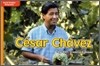 McGraw-Hill Social Studies Time Links '09 Grade K : Biographies - Approaching Level : Cesar Chavez
