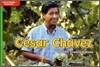 McGraw-Hill Social Studies Time Links '09 Grade K : Biographies - Beyond Level : Cesar Chavez