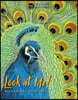 Look at Me!