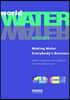 World Water Vision