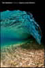 The Shallows: Poems