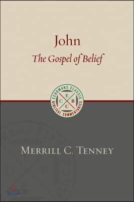 John: The Gospel of Belief: An Analytic Study of the Text