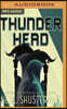 Thunderhead