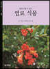 염료식물