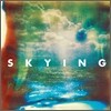The Horrors - Skying