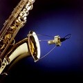 SD Systems 에스디시스템 색소폰 마이크 LCM89