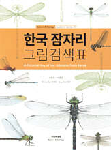 한국 잠자리 그림검색표