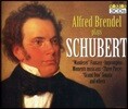 Alfred Brendel 알프레트 브렌델이 연주하는 슈베르트 (Schubert: Wanderer Fantasy, Impromptus)