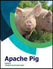 Apache Pig: Invent the Future