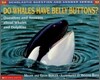 Do Whales Have Belly Buttons?